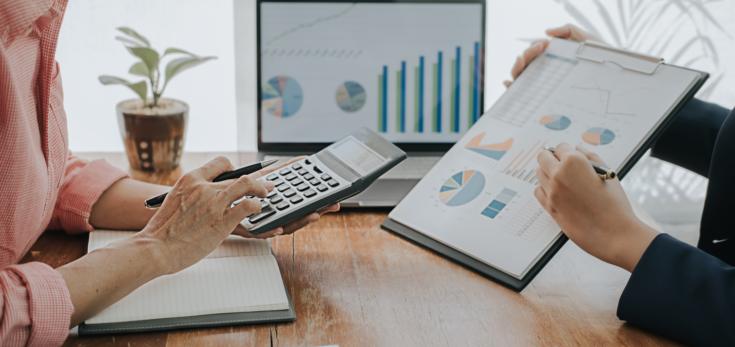 mid-year budget review reports and bookkeeping